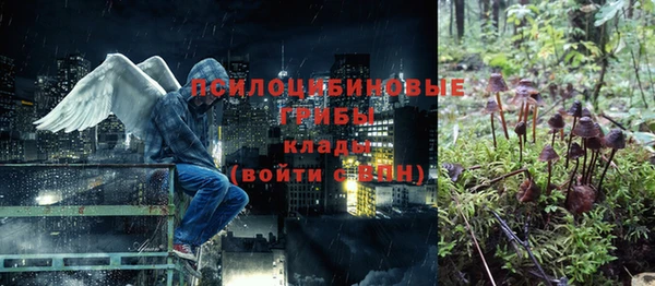 ГАЛЛЮЦИНОГЕННЫЕ ГРИБЫ Алексеевка